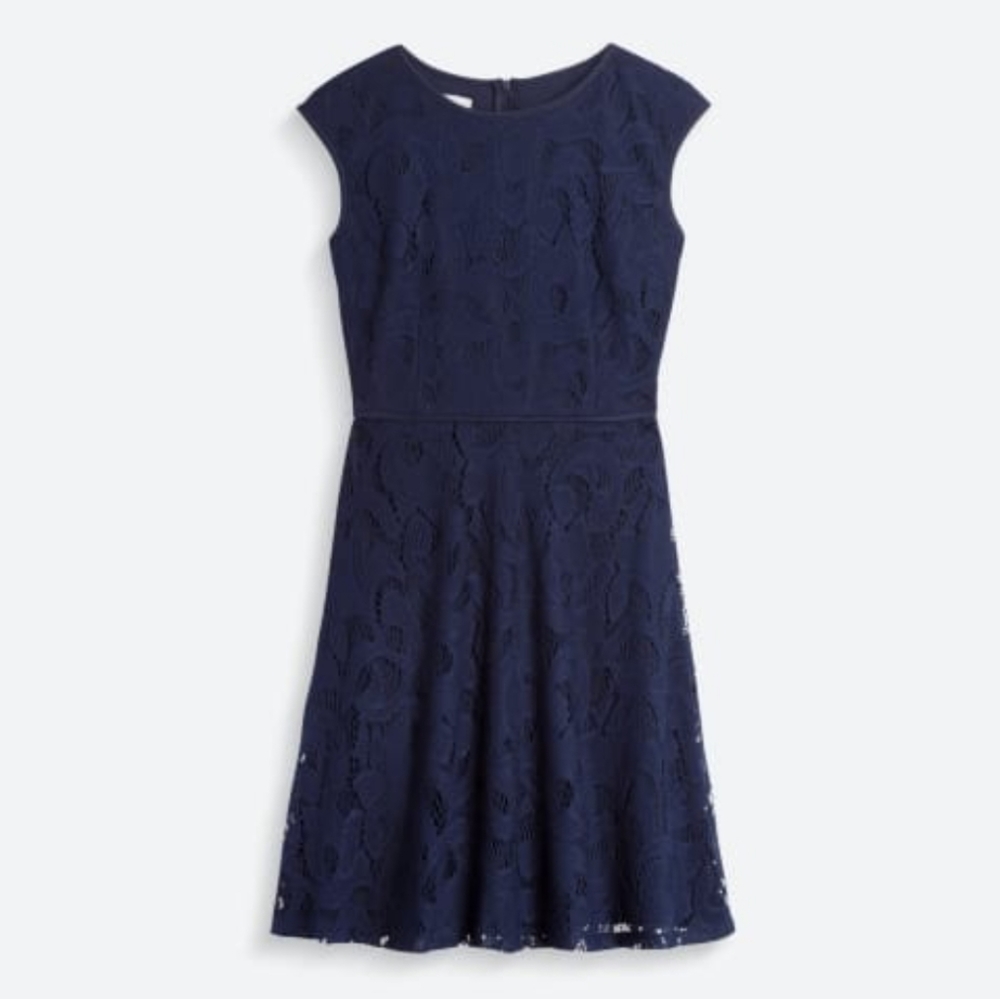 Petite Lace Knit Dress